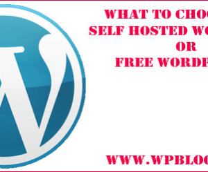 Self Hosted WordPress Or Free WordPress?