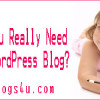 What Do You Really Need to Get a WordPress Blog?